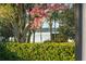 Lake view from the backyard of the property, surrounded by lush landscaping and flowering trees at 9224 Bentley Park Cir, Orlando, FL 32819