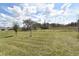 Expansive backyard with lush green grass, mature trees, and views of the surrounding wooded area and neighborhood at 17667 Saw Palmetto, Clermont, FL 34714