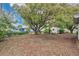 Spacious backyard view featuring grass, plants, and mature shade trees at 7121 Stockholm Way, Orlando, FL 32822