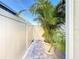 Enclosed side yard featuring a large potted palm tree, a brick paver patio, and a light-colored privacy fence at 6404 Pine Fork Aly, St Cloud, FL 34771