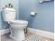 Toilet with geometric rug, light blue walls and faux succulent plants add to this serene bathroom at 10566 Green Ivy Ln, Orlando, FL 32832