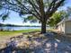 Scenic backyard with a large shade tree, leading to the lake with lush greenery at 2055 Jessamine Ct, Deltona, FL 32738