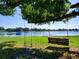 Relaxing lakeside view featuring swings hanging from a mature tree over a grassy lawn at 2055 Jessamine Ct, Deltona, FL 32738