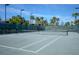 A green tennis court with tropical trees and manicured landscaping at 1392 Zeek Ridge St, Clermont, FL 34715