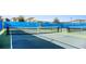 Community pickleball courts featuring blue and green court with black fencing and houses in background at 14146 Lanikai Beach Dr, Orlando, FL 32827
