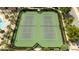 Top-down view of community tennis courts with lush greenery and palm trees at 7853 Summerlake Groves St, Winter Garden, FL 34787