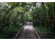 Picturesque boardwalk through lush greenery and trees, perfect for a peaceful nature walk at 136 Raintree Dr, Longwood, FL 32779