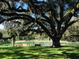 Large mossy tree overlooking the beautiful lake with bench and well manicured grass at 136 Raintree Dr, Longwood, FL 32779