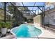 Kidney-shaped pool with a screened enclosure, surrounded by lush landscaping for privacy at 1575 Belfast Ct, Apopka, FL 32712