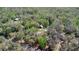 Aerial view of a charming red outbuilding nestled among lush greenery and mature trees in a peaceful setting at 16318 Hamilton Dr, Orlando, FL 32833