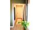 Inviting hallway featuring a front door with a plant and wall mirror at 2294 Sunset Way, Davenport, FL 33837