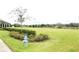 Spacious green lawn with a decorative bushes and a fire hydrant at 2294 Sunset Way, Davenport, FL 33837