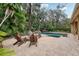 Backyard featuring a pool, hot tub, fire pit, and lounge chairs, all nestled in a lush tropical setting at 2958 Willow Bay Ter, Casselberry, FL 32707