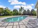Beautiful in-ground pool surrounded by patterned pavers and lush landscaping at 11306 Bridge House Rd, Windermere, FL 34786