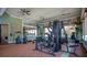 Well-equipped fitness center with modern exercise machines, mirrors, and ample space for workouts at 200 Snowy Orchid Way, Lake Alfred, FL 33850