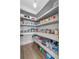 Well-organized pantry with shelves stocked with various food and beverage items at 2949 Marlberry Ln, Clermont, FL 34714