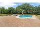 A freeform pool with ample patio space and chairs for lounging at 3414 Cocard Ct, Windermere, FL 34786