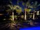 Nighttime view of backyard landscaping with palm trees, lighting, and lush greenery at 7702 Fairfax Dr, Kissimmee, FL 34747