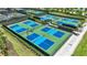 Aerial view of community pickleball courts, with blue and green playing surfaces and well-maintained landscaping at 5647 Nevis Ter, Kissimmee, FL 34758