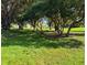 Large backyard with mature trees for ample shade at 10223 Marco Polo Dr, Orlando, FL 32821