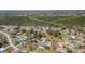 Expansive overhead view showcasing a residential area with mature trees, diverse homes, and natural beauty at 154 Pecan Dr, Ocala, FL 34472