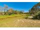 Large backyard with open space and scattered trees, providing a tranquil outdoor setting for various activities at 1905 Snapper Dr, Kissimmee, FL 34759