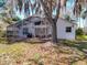 Backyard of house featuring screened-in patio, mature tree and landscaping providing shade at 2112 White Eagle St, Clermont, FL 34714