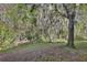 Lush backyard with mature trees providing privacy and shade at 604 Coral Trace Blvd, Edgewater, FL 32132