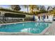 View of community pool with in-water depth markers, and blue lounge chairs at 1024 Green Gate Blvd, Groveland, FL 34736