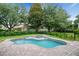 Beautiful backyard pool with spa, surrounded by lush greenery and a black iron fence at 11537 Claymont Cir, Windermere, FL 34786