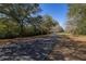 Paved neighborhood street surrounded by lush green trees and natural landscaping at 5252 Hidden Cypress Ln, Oviedo, FL 32765