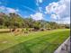 Lush backyard with well-manicured landscaping and mature trees at 8400 Bridgeport Bay Cir, Mount Dora, FL 32757
