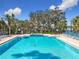 Community pool with lounge chairs and lush landscaping on a sunny day at 3403 Greenwich Village Blvd # 104, Orlando, FL 32835