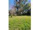 View of the backyard with some trees at 4202 Mizell St, Orlando, FL 32812