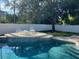 Relaxing pool area with in-water lounge space, landscaping, and a privacy fence at 4847 Lake Milly Dr, Orlando, FL 32839