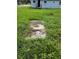 Unkempt backyard with overgrown grass, featuring a patio slab, awaiting landscaping and maintenance at 838 Bethune Ave, Winter Garden, FL 34787