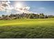Expansive green lawn leading up to stately homes, complete with lush landscaping and scenic views at 15847 Vetta Dr, Bella Collina, FL 34756