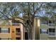 Exterior view of a multi-Gathering complex featuring balconies and a mature tree in the front at 5144 City St # 238, Orlando, FL 32839