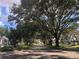 Tree-lined street view showcasing the peaceful and inviting atmosphere of the neighborhood at 2597 Oak Park Way # 205, Orlando, FL 32822
