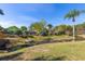Expansive backyard featuring a serene pond, palm trees, and a glimpse of the pool area at 3006 Mandolin Dr, Kissimmee, FL 34744