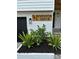 Close-up of the house number with well-maintained landscaping at 382 Riverside Dr, Ormond Beach, FL 32176