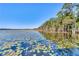 A serene lake covered with lily pads reflecting the clear blue sky and surrounding trees at 10078 Greenshire Way, Orlando, FL 32827