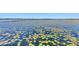 Scenic lake view showcasing water lilies, clear skies, and a tranquil atmosphere, perfect for nature enthusiasts at 10078 Greenshire Way, Orlando, FL 32827