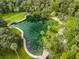 Aerial view of the neighborhood community spring surrounded by lush greenery creates a natural, serene oasis at 117 Starling Ln, Longwood, FL 32779