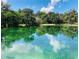 Serene natural spring reflects the beauty of the surrounding greenery, creating a peaceful community at 117 Starling Ln, Longwood, FL 32779