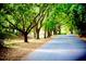Beautiful street view with trees and lush vegetation along the road at 117 Starling Ln, Longwood, FL 32779