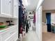 Well-organized walk-in closet with custom shelving and ample storage, connected to the main bedroom at 117 Starling Ln, Longwood, FL 32779