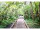 Scenic wooden boardwalk through lush green landscape, great for walking and enjoying nature at 117 Starling Ln, Longwood, FL 32779