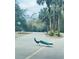 Peacock gracefully crosses the road lined with lush palm trees and foliage at 117 Starling Ln, Longwood, FL 32779