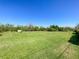 View of back yard features a lush green lawn surrounded by trees and a bright blue sky at 915 Oak Ln, Lakeland, FL 33811